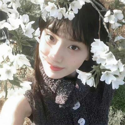 小楼雏妓